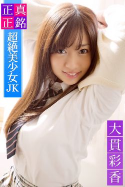 婚姻攻略电视剧